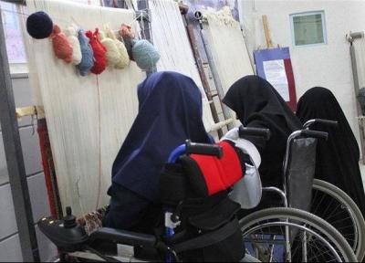 سالانه 10 درصد مددجویان بهزیستی در استان مرکزی صاحب شغل می شوند