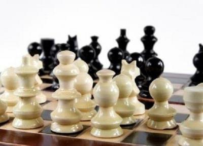 سرمربی تیم ملی شطرنج ادامه همکاری با ایران را منتفی کرد