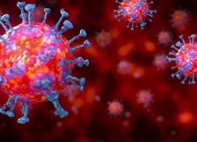 دو برابر شدن احتمال مرگ در صورت ابتلای هم زمان به کرونا و آنفلوانزا