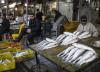 افزایش 80 درصدی قیمت ماهی