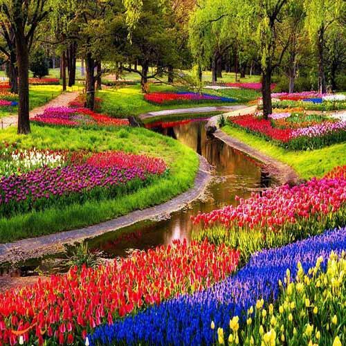 تور هلند: باغ گل کوکنهوف در هلند