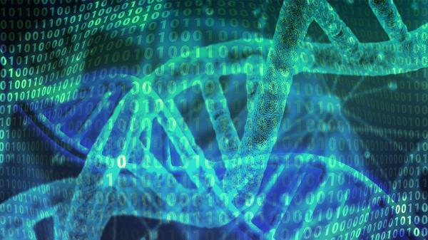 محاسبات در مقیاس نانو با استفاده از DNA