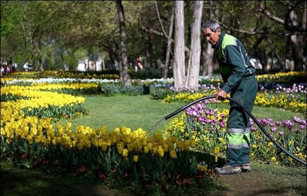 استفاده از 50 میلیون متر مکعب پساب برای آبیاری فضای سبز تهران تا سرانجام سال